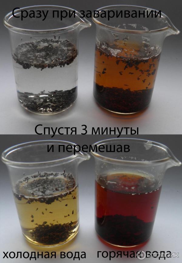 Почему чай не заваривается в холодной воде Почему чай не заваривается в холодной воде