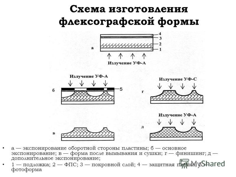 Изготовление печатных форм. Технологии изготовления печатных форм. Методы изготовления опп и дпп. Технология изготовления печатных форм. Схема изготовления флексографских печатных форм.