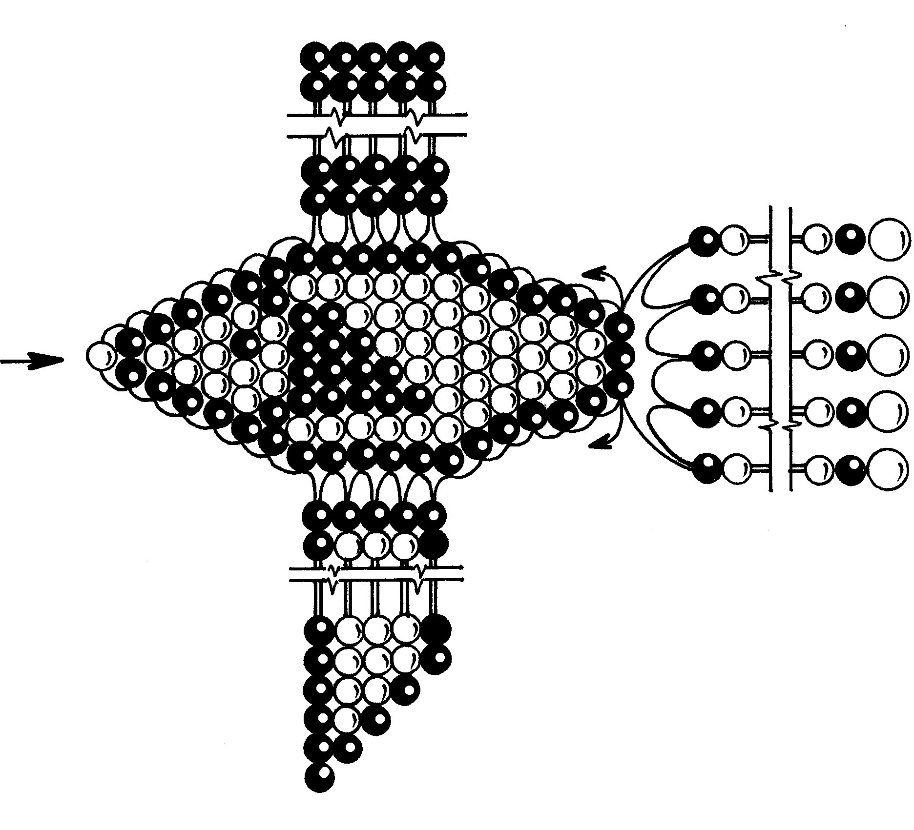 Рыбка из бисера схема. Схема плетения рыбки из бисера. Схема плетения из бисера черепашка. Рыбка из бисера схема объёмная.