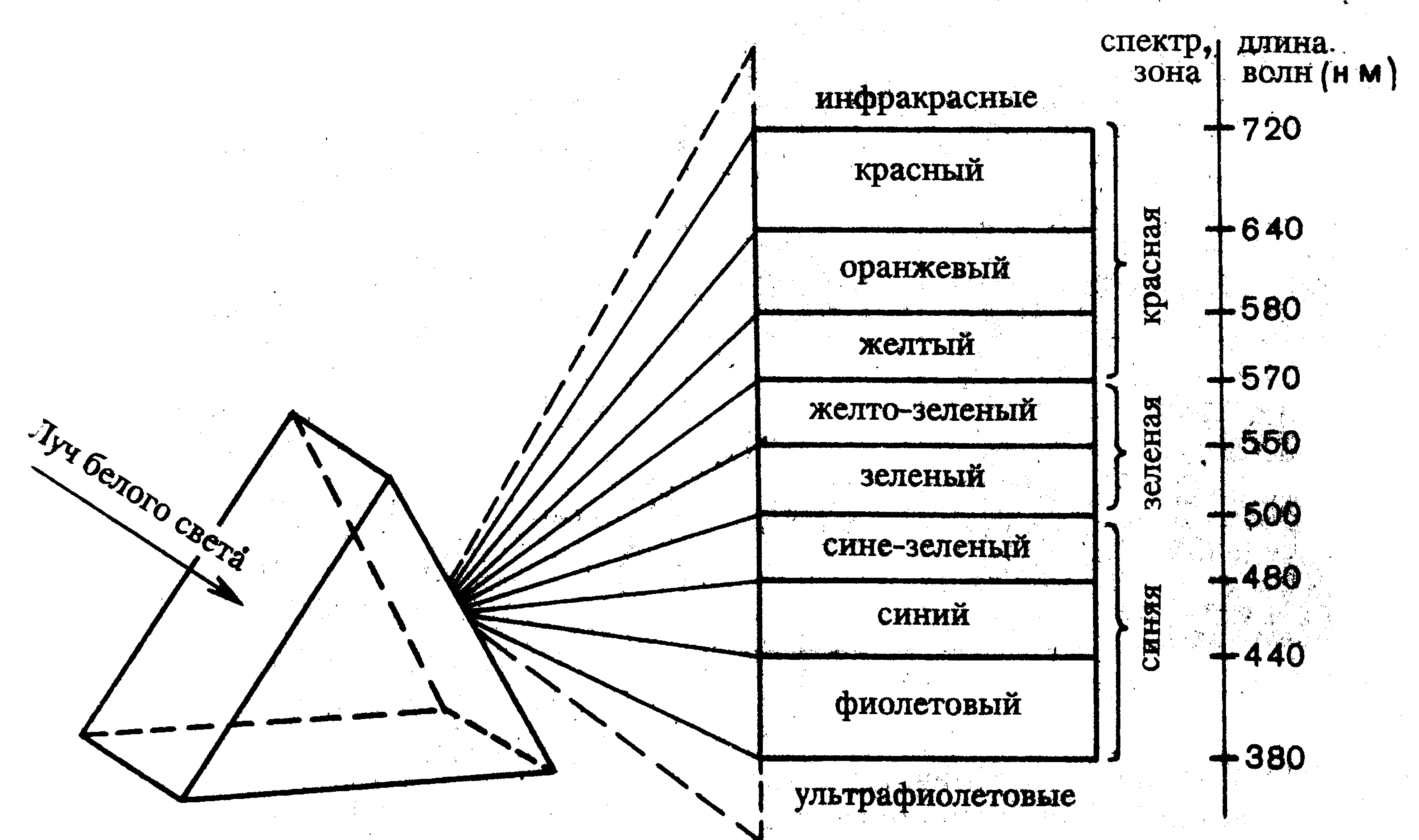 Спектральная схема. Схема спектра световых излучений. Разложение белого спектра света в спектр. Разложение света в спектр схема. Схема разложение в призме в спектр.