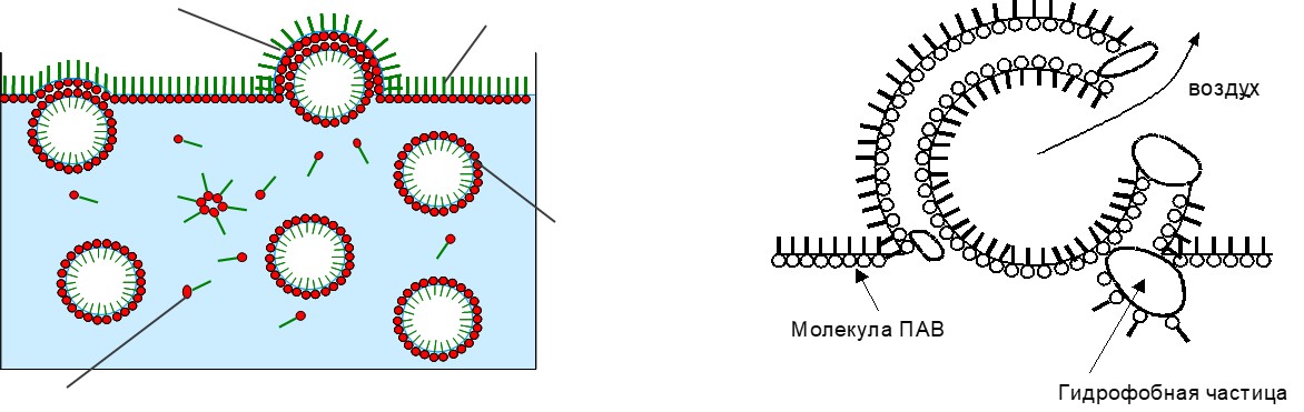 Поверхностно активные вещества строение. Строение молекулы пав. Дифильное строение пав. Поверхностно-активные вещества (пав).